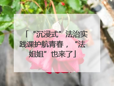 “沉浸式”法治实践课护航青春，“法姐姐”也来了