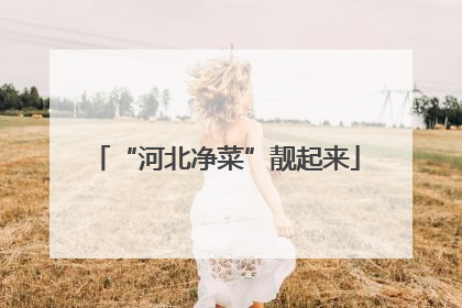 “河北净菜”靓起来