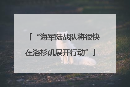 “海军陆战队将很快在洛杉矶展开行动”