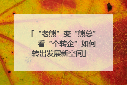 “老熊”变“熊总”——看“个转企”如何转出发展新空间