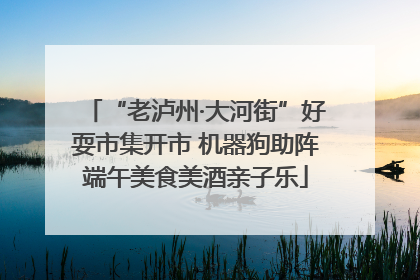 “老泸州·大河街”好耍市集开市 机器狗助阵端午美食美酒亲子乐