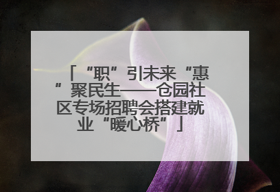 “职”引未来“惠”聚民生——仓园社区专场招聘会搭建就业“暖心桥”