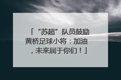 “苏超”队员鼓励黄桥足球小将：加油，未来属于你们！