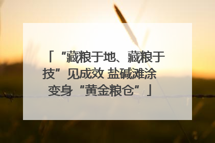 “藏粮于地、藏粮于技”见成效 盐碱滩涂变身“黄金粮仓”