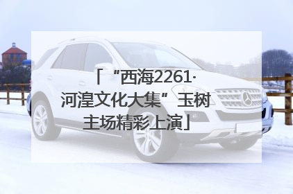 “西海2261·河湟文化大集”玉树主场精彩上演