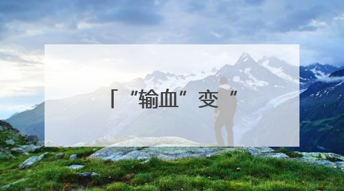 “输血”变“造血”共赢 粤桂协作助百色芒果畅销大湾区