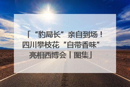 “豹局长”亲自到场！四川攀枝花“自带香味”亮相西博会丨图集
