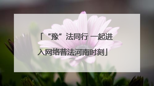 “豫”法同行 一起进入网络普法河南时刻