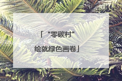 “零碳村” 绘就绿色画卷