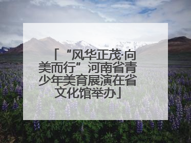 “风华正茂·向美而行”河南省青少年美育展演在省文化馆举办