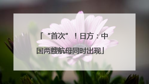 “首次”！日方：中国两艘航母同时出现