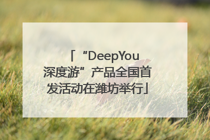 “DeepYou深度游”产品全国首发活动在潍坊举行