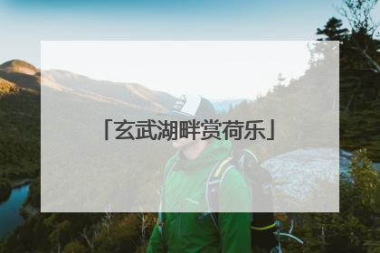 玄武湖畔赏荷乐
