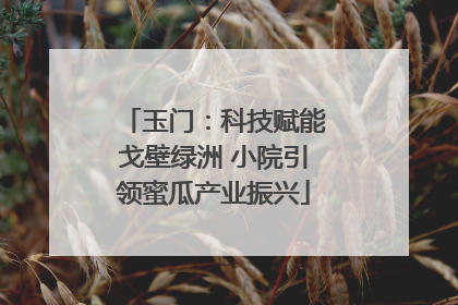 玉门：科技赋能戈壁绿洲 小院引领蜜瓜产业振兴