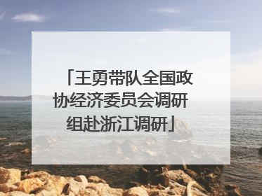 王勇带队全国政协经济委员会调研组赴浙江调研