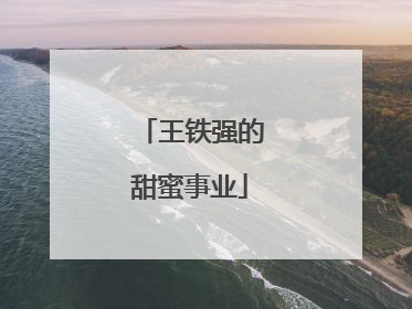王铁强的甜蜜事业
