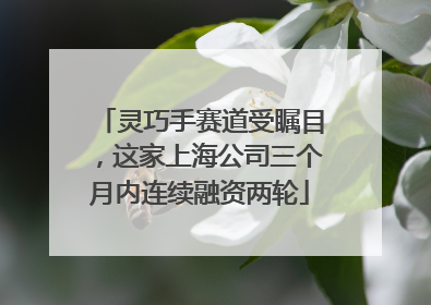 灵巧手赛道受瞩目，这家上海公司三个月内连续融资两轮
