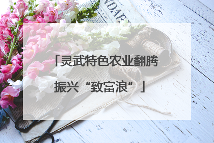 灵武特色农业翻腾振兴“致富浪”