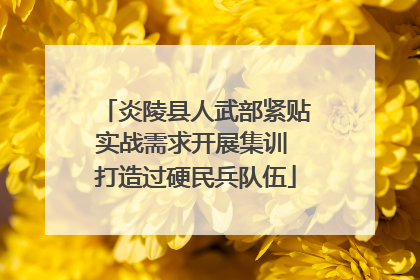 炎陵县人武部紧贴实战需求开展集训 打造过硬民兵队伍