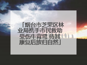 烟台市芝罘区林业局携手市民救助受伤牛背鹭 待其康复后放归自然