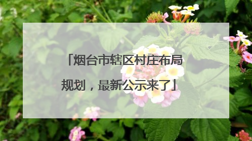 烟台市辖区村庄布局规划，最新公示来了
