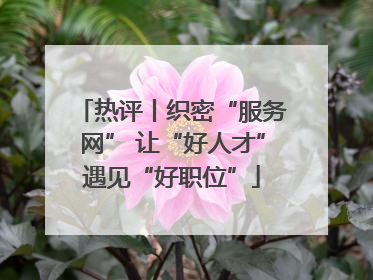 热评丨织密“服务网” 让“好人才”遇见“好职位”