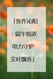 焦作沁阳：端午情浓 电力守护艾叶飘香