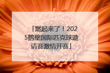 燃起来了！2025鹤壁国际匹克球邀请赛激情开赛