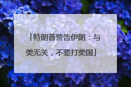 特朗普警告伊朗：与美无关，不要打美国
