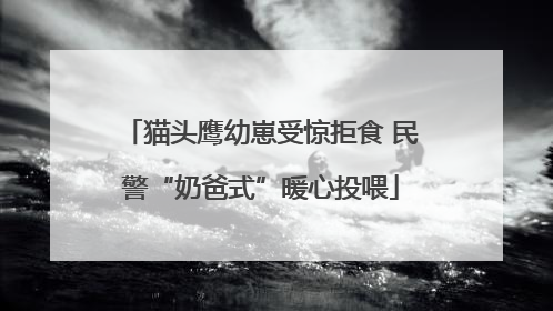 猫头鹰幼崽受惊拒食 民警“奶爸式”暖心投喂
