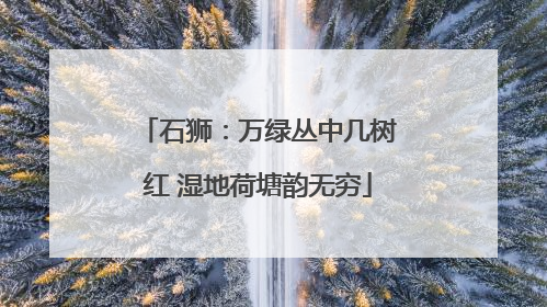 石狮：万绿丛中几树红 湿地荷塘韵无穷