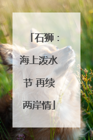 石狮：海上泼水节 再续两岸情