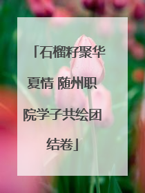 石榴籽聚华夏情 随州职院学子共绘团结卷