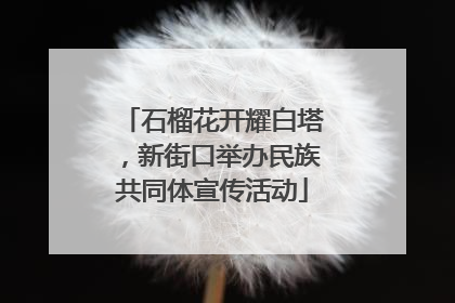 石榴花开耀白塔，新街口举办民族共同体宣传活动