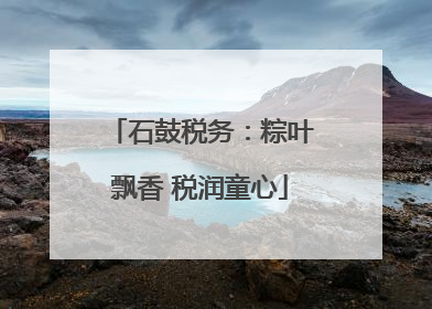 石鼓税务：粽叶飘香 税润童心