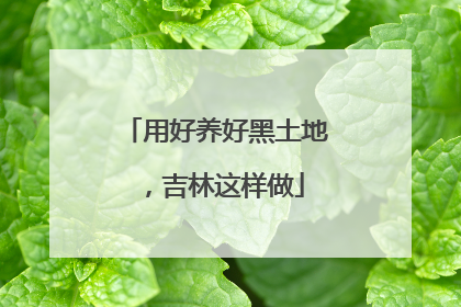 用好养好黑土地，吉林这样做