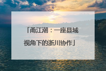 甬江潮：一座县域视角下的浙川协作