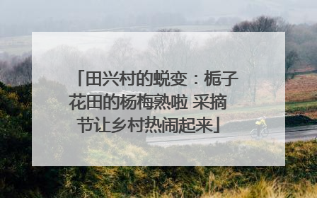 田兴村的蜕变：栀子花田的杨梅熟啦 采摘节让乡村热闹起来