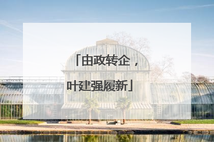 由政转企，叶建强履新