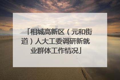 相城高新区（元和街道）人大工委调研新就业群体工作情况