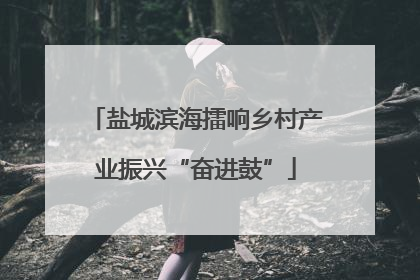 盐城滨海擂响乡村产业振兴“奋进鼓”