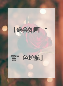 盛会如画 “警”色护航