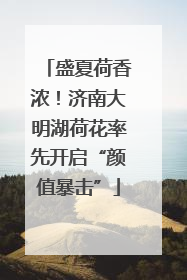 盛夏荷香浓！济南大明湖荷花率先开启“颜值暴击”
