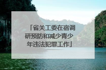 省关工委在宿调研预防和减少青少年违法犯罪工作