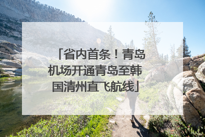 省内首条！青岛机场开通青岛至韩国清州直飞航线
