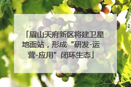 眉山天府新区将建卫星地面站，形成“研发-运营-应用”闭环生态