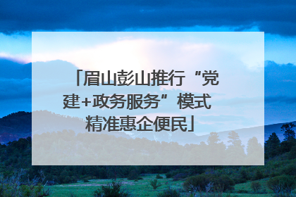 眉山彭山推行“党建+政务服务”模式 精准惠企便民