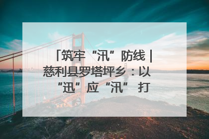 筑牢“汛”防线｜慈利县罗塔坪乡：以“迅”应“汛” 打赢暴雨防御战