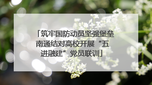 筑牢国防动员坚强堡垒 南通结对高校开展“五进融建”党员联训