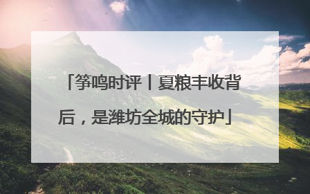 筝鸣时评丨夏粮丰收背后，是潍坊全城的守护